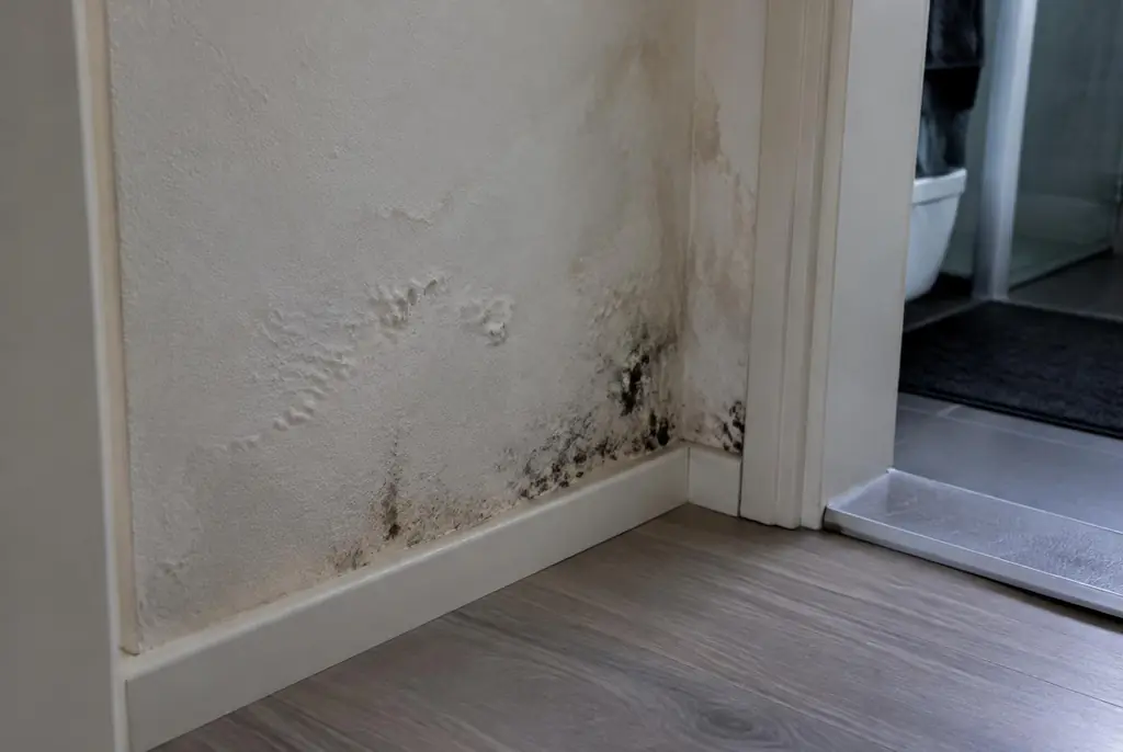 Lekdetectie Castricum – vochtplek met schimmel op een muur